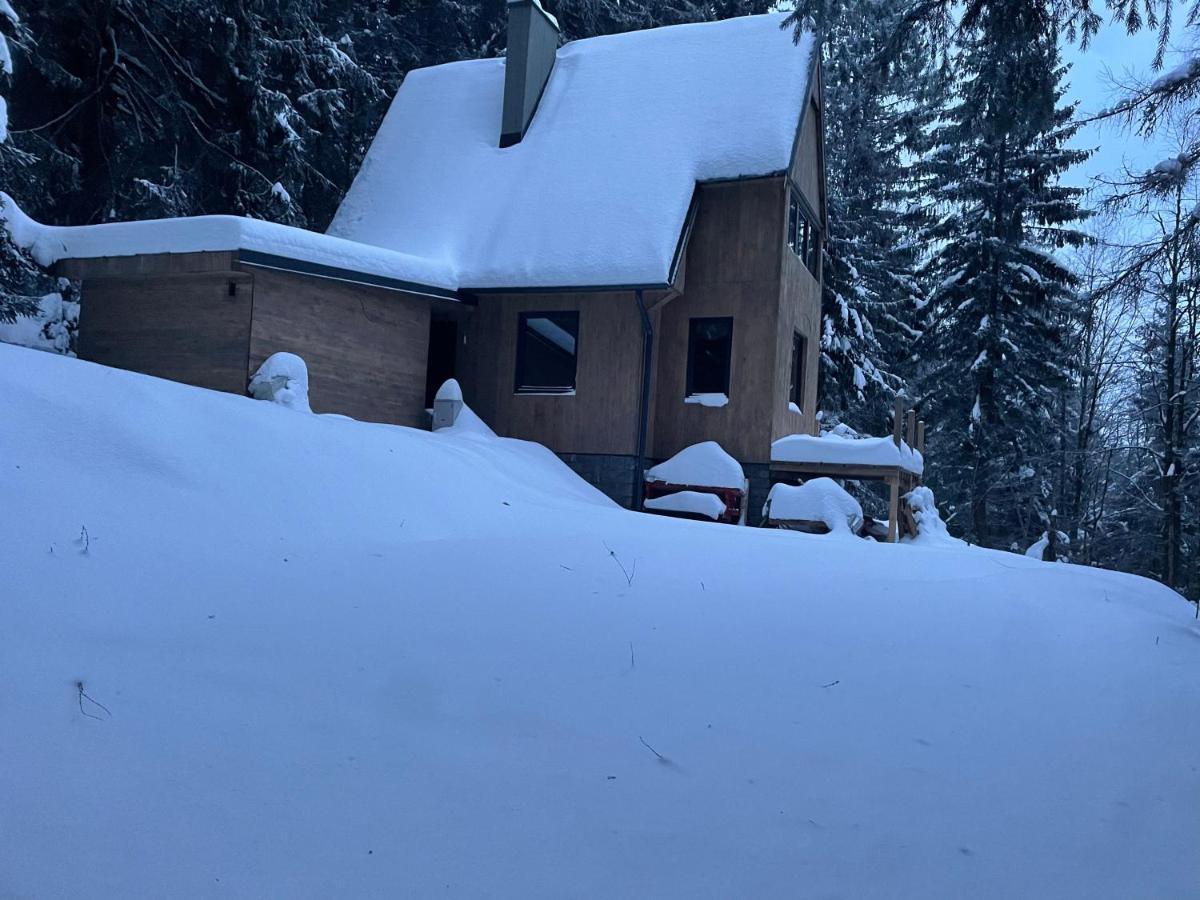 Chalet Fimili Vysna Boca Luaran gambar